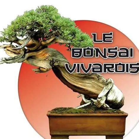 Logo Association